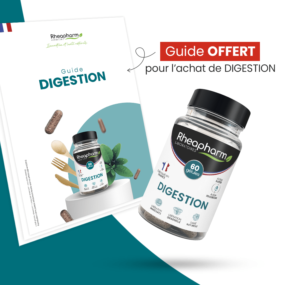 DIGESTION