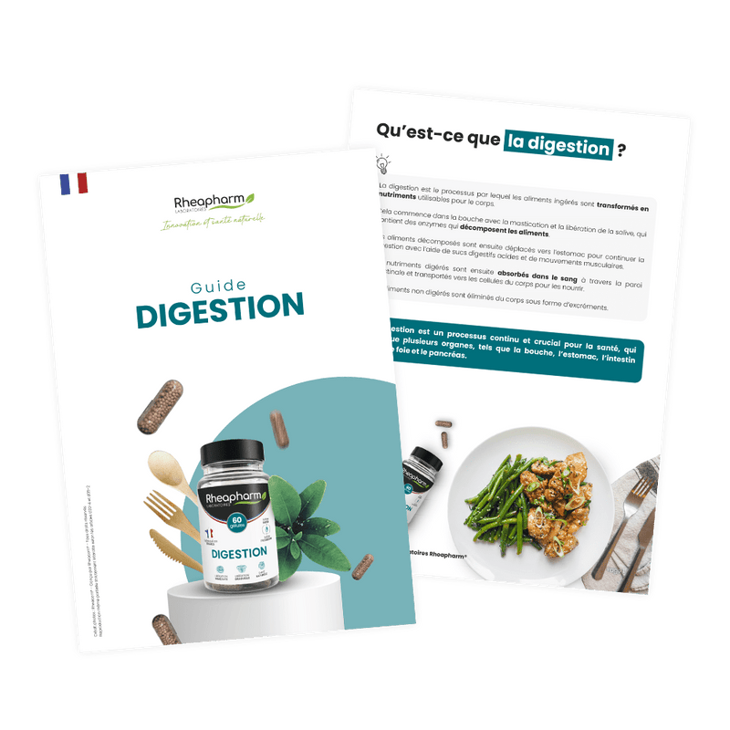 GUIDE DIGESTION