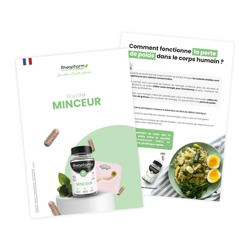 GUIDE MINCEUR